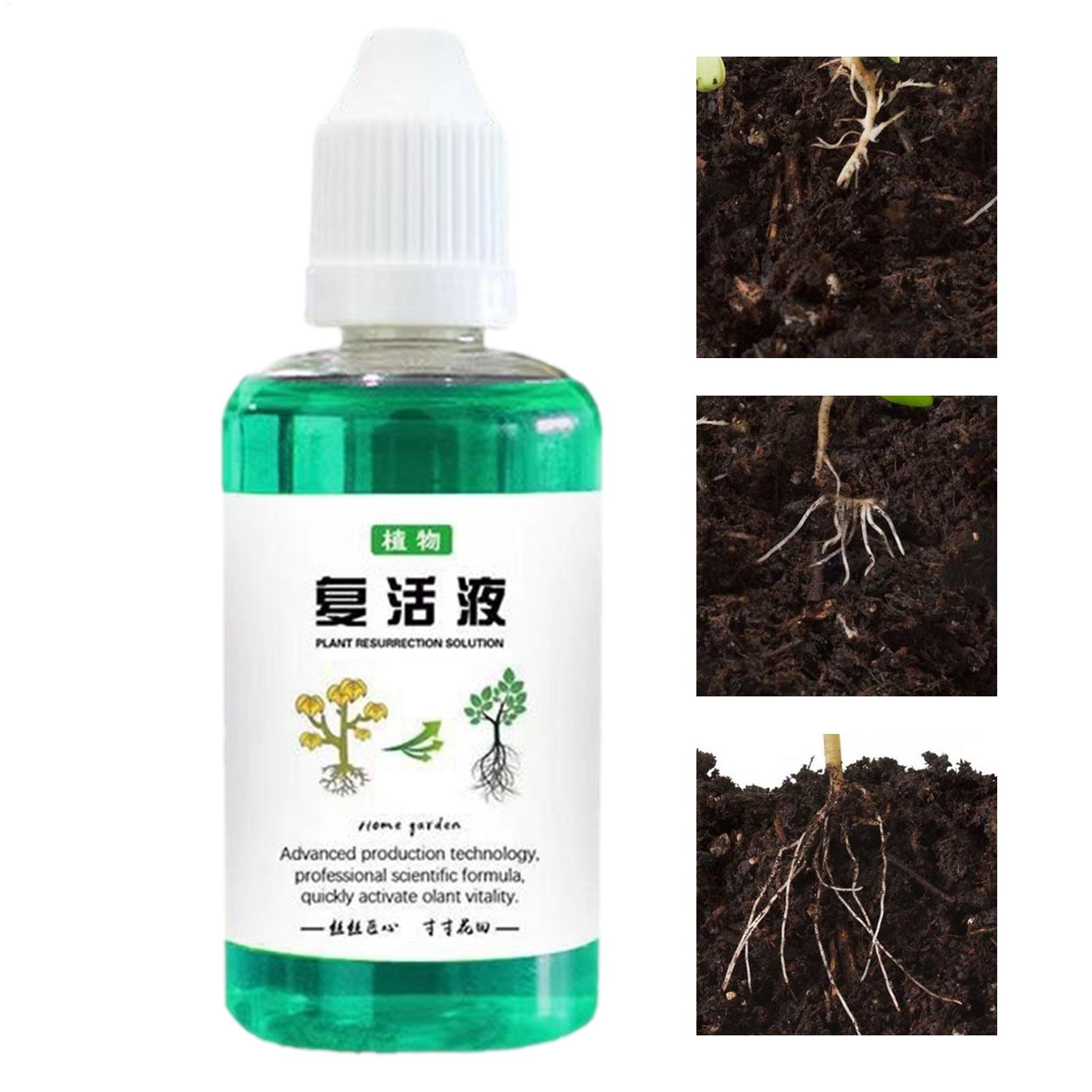 Root Stimulator Liquid - 50ml Stymulator Korzeni Płyn do Odrostu