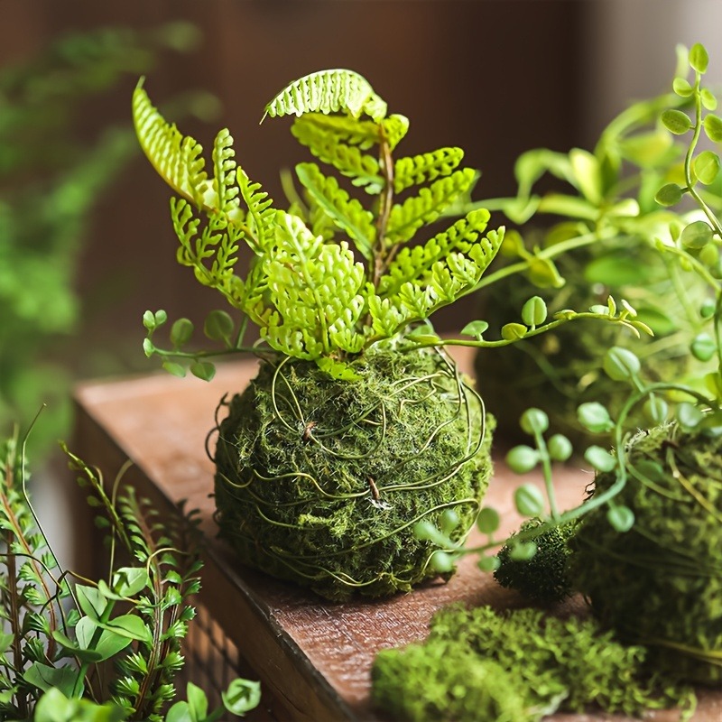 Sphagnum Moss Dry - Sztuczna doniczka z mechową kulką, naturalny