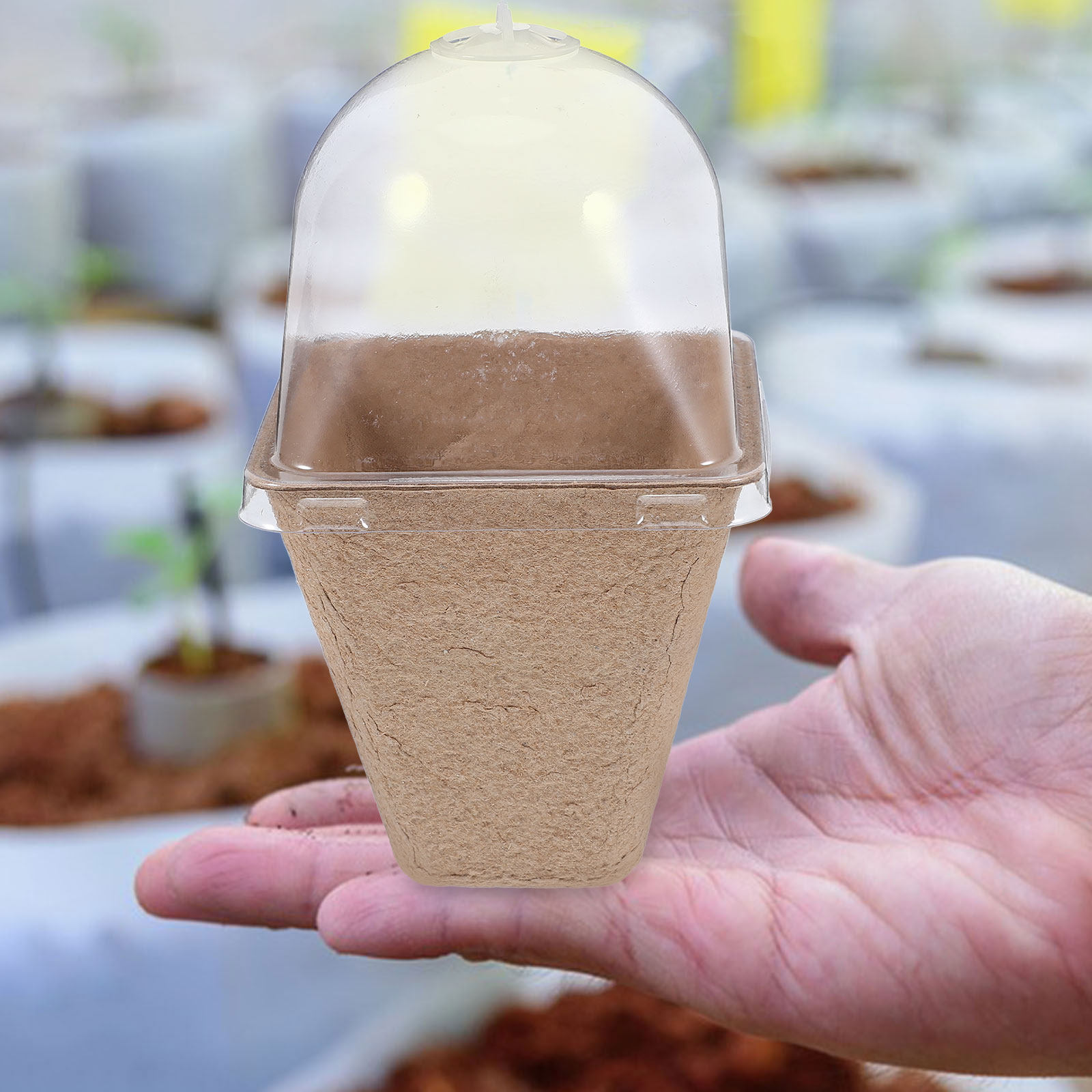 Humidity Dome Kit - 10 szt. Biodegradowalnych doniczek do rozsady