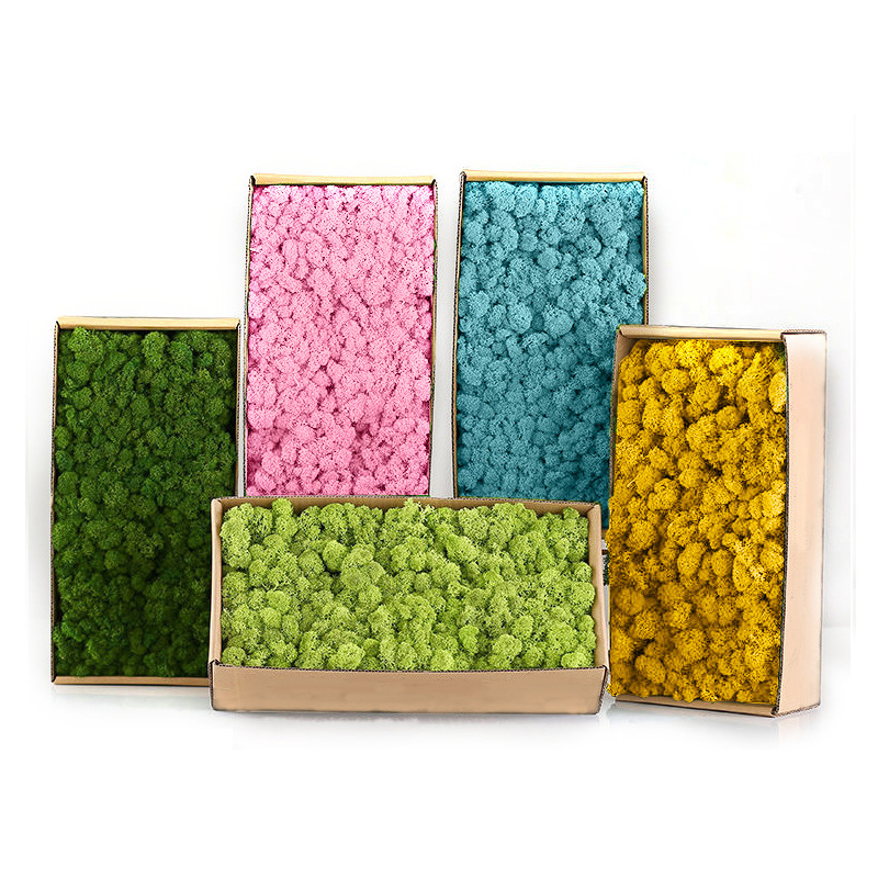 Sphagnum Moss Dry - Sztuczne zielone rośliny Mini krajobraz wieczne