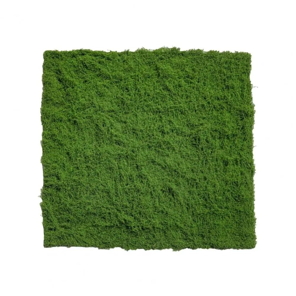Dywan z sztucznej trawy DIY, t – Sphagnum Moss Dry recenzja i cena