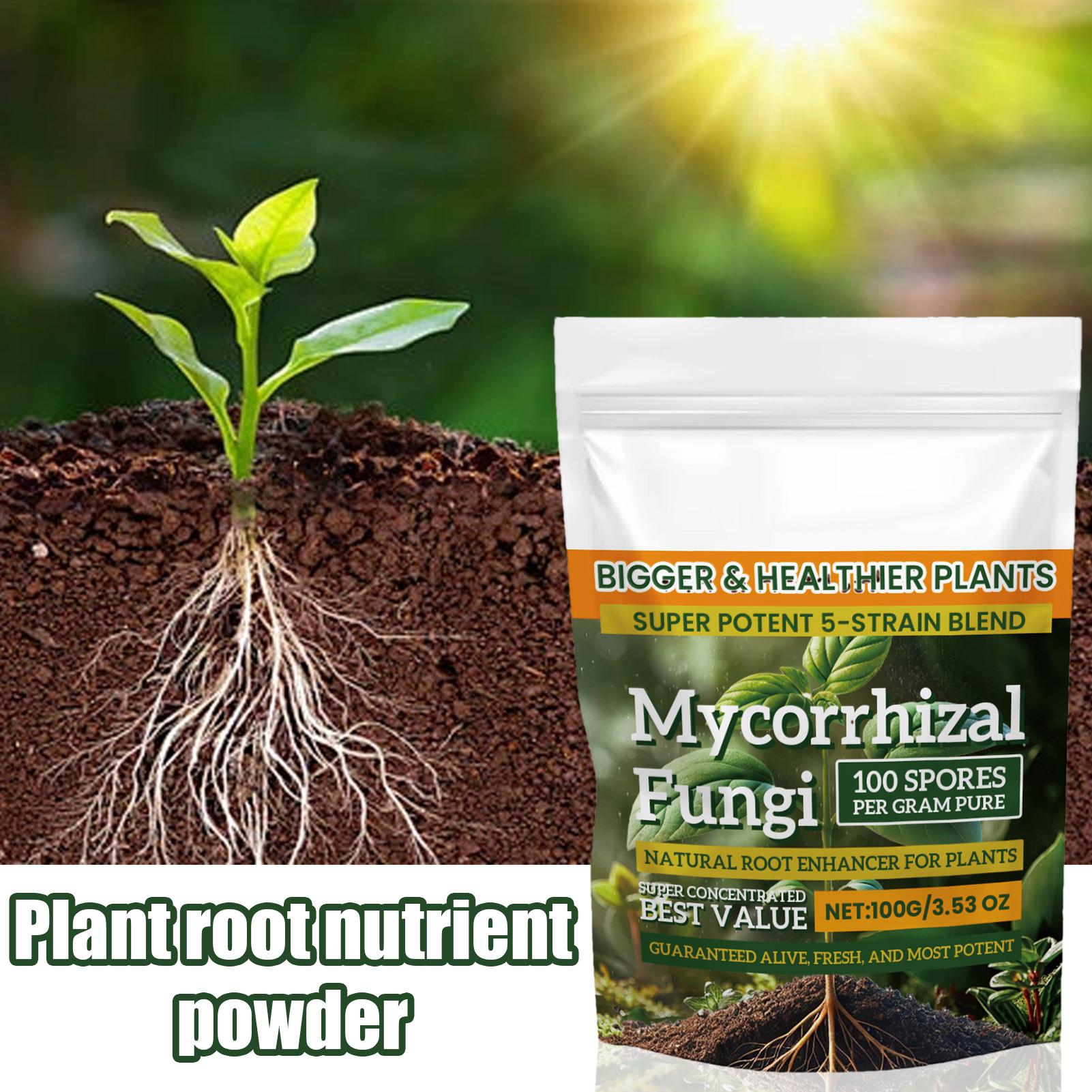 Nowy Proszek Odżywczy dla Rośl – Rooting Hormone Powder recenzja i cena