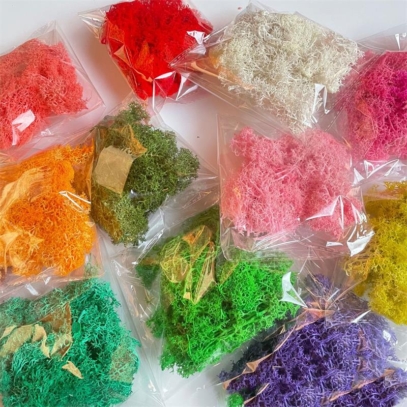 20-200g Sztuczne Zielone Rośli – Sphagnum Moss Dry recenzja i cena