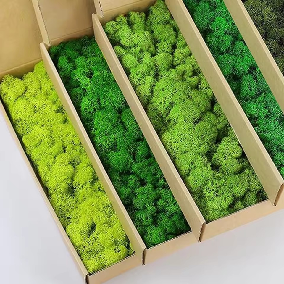 20-200g Sztuczne Zielone Rośli – Sphagnum Moss Dry recenzja i cena