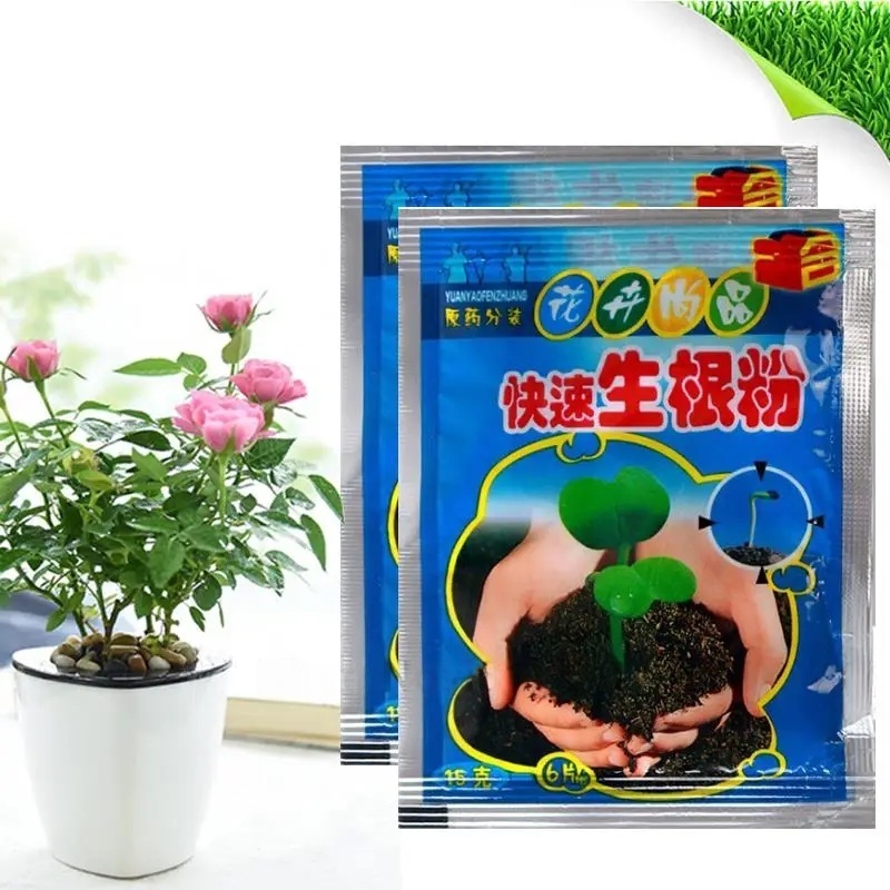 5 szt. Szybki Proszek do Korio – Rooting Hormone Powder recenzja i cena