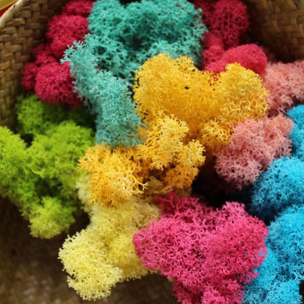 Sztuczna roślina życie wieczne – Sphagnum Moss Dry recenzja i cena