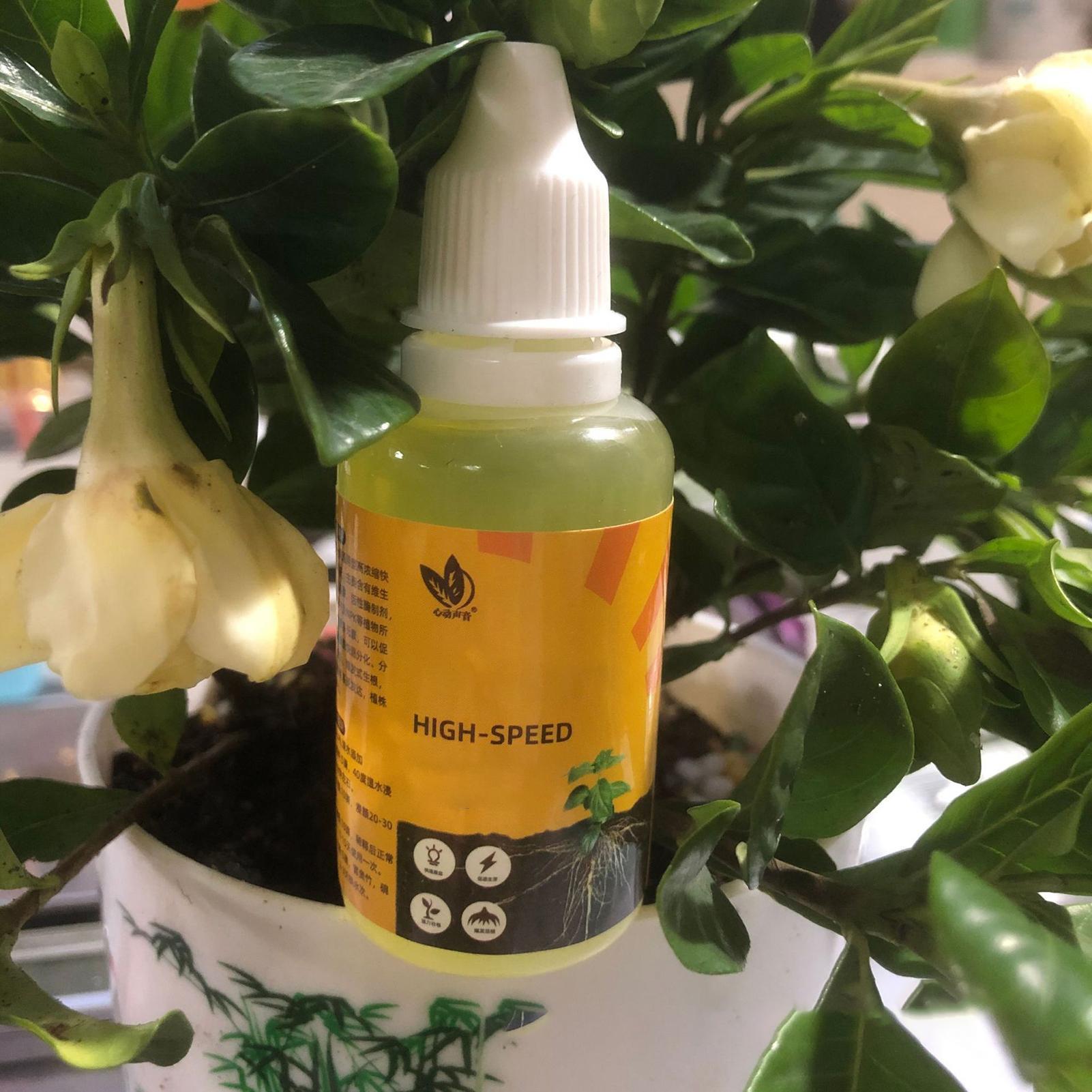 50ml Płynny Stymulator Zacinan – Root Stimulator Liquid recenzja i cena