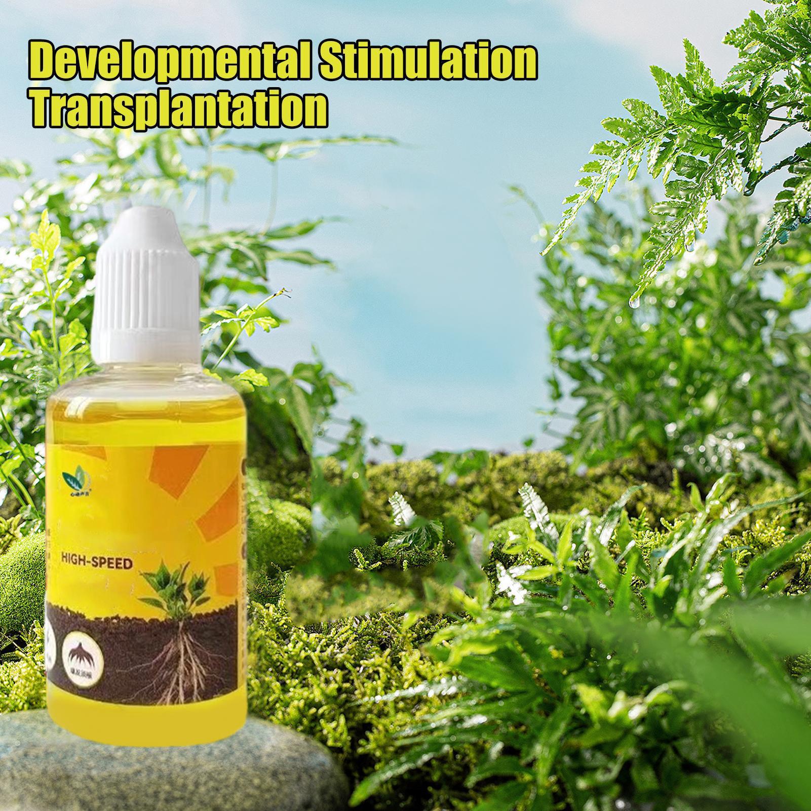 50ml Płynny Stymulator Zacinan – Root Stimulator Liquid recenzja i cena