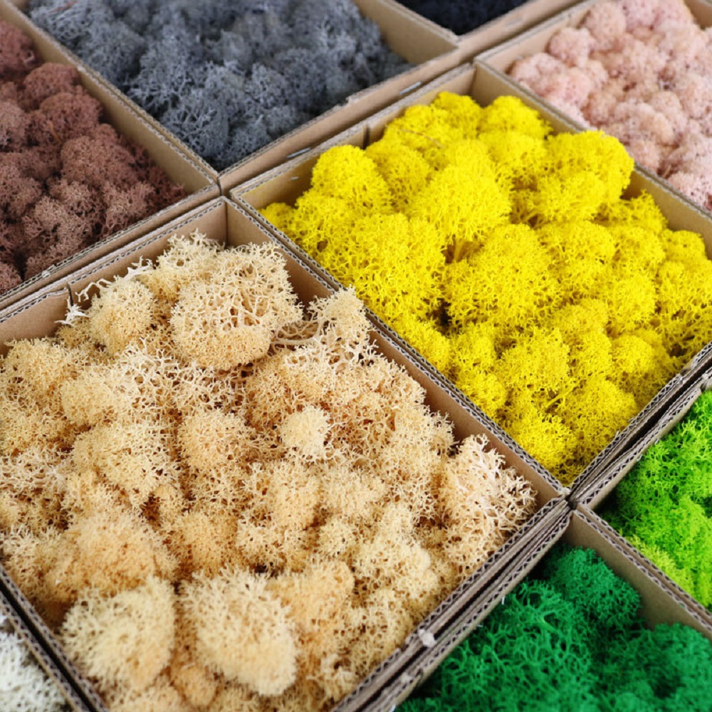 Sztuczne zielone rośliny Mini  – Sphagnum Moss Dry recenzja i cena